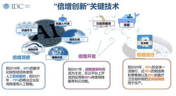 IDC數字經濟時代 智慧未來已來，人工智能基礎軟件開發引領變革
